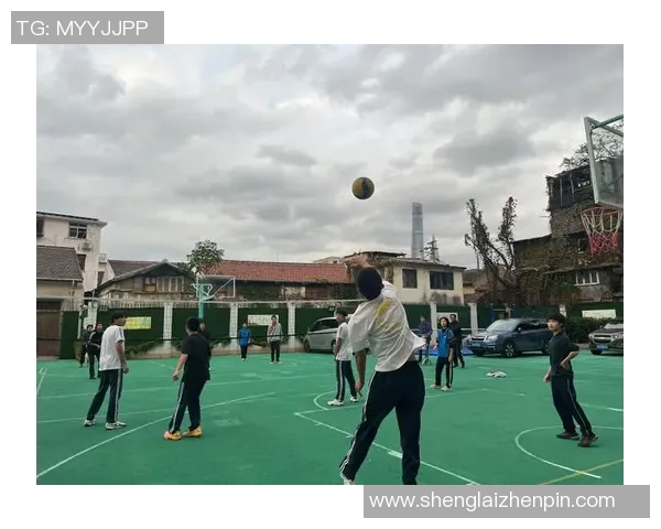 上海排球队的转换得失分析与未来发展展望